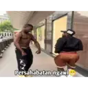 Stiker