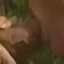 Çıkartma