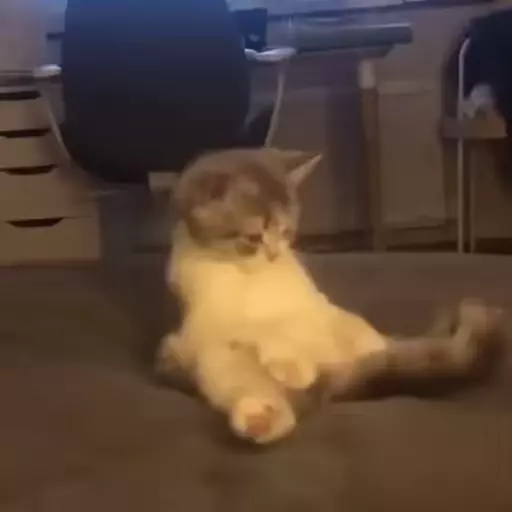 Nhãn dán