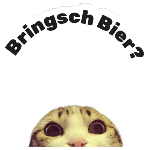 Adhesiu