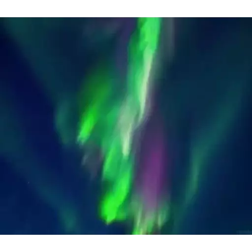 ملصق
