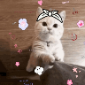 Стикер