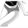 贴纸