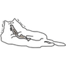 Samolepka