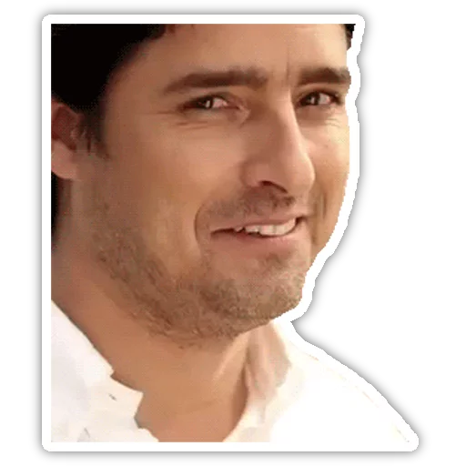 Stika