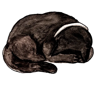 Samolepka