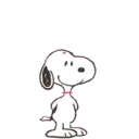 স্টিকার