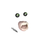 Samolepka