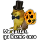 Stika