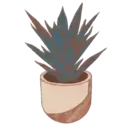 ස්ටිකර්