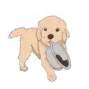 ස්ටිකර්