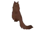 ස්ටිකර්