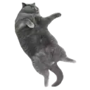 স্টিকার