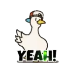 ஸ்டிக்கர்