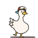 ஸ்டிக்கர்