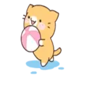 ස්ටිකර්