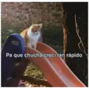 Stika