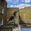 اسٹیکر