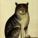 Çıkartma