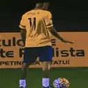 Samolepka