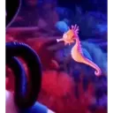 ස්ටිකර්