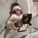 מדבקה