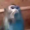 מדבקה