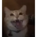 Stika