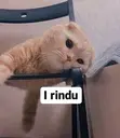 Límmiði