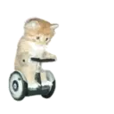 ស្ទីកเกอร์