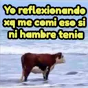اسٹیکر