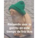 Figurinha