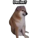 Stika
