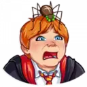 Adhesiu