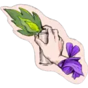 Stiker