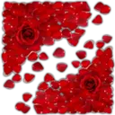 Կպչուն պիտակ