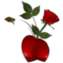 Կպչուն պիտակ