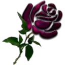 Կպչուն պիտակ