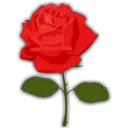 Կպչուն պիտակ