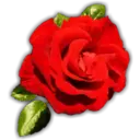 Կպչուն պիտակ