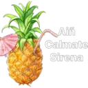 Klistermärke