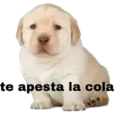 Autocollant