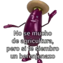 Nhãn dán
