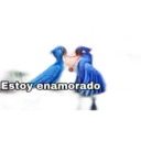 Samolepka