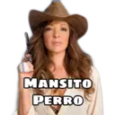 Figurinha