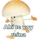 Ngjitës