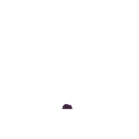 Adhesiu