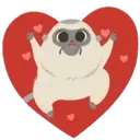 Adhesiu
