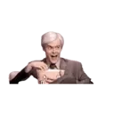 Stika