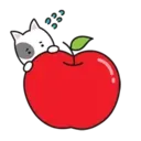 Nhãn dán